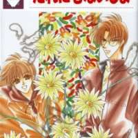  ����� Dare ni mo Naisho <small>Story & Art</small> 